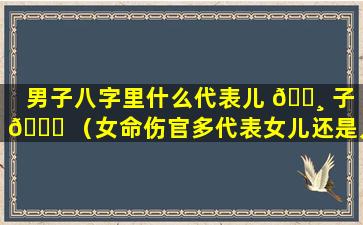 男子八字里什么代表儿 🕸 子 🐕 （女命伤官多代表女儿还是儿子）